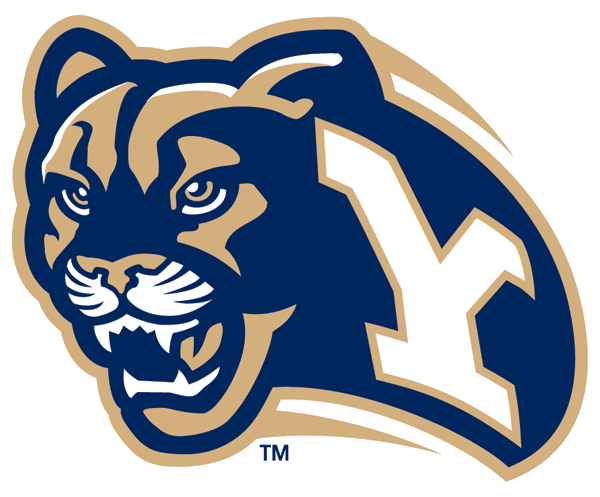Brigham Young Cougars 1999-2004 Secondary Logo v2 iron on transfers for T-shirts
